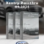 Xentry Passthru J2534 Mercedes XPT 09.2024 + Xentry Offline Activator FullFix
